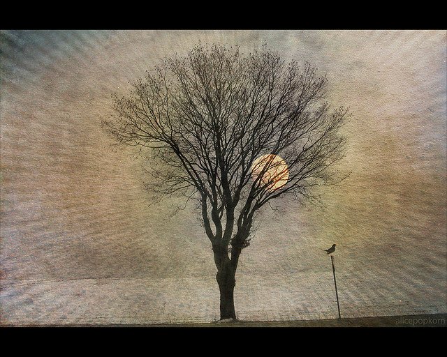 Teaching English conversation skills with lessons from eslwriting.org.