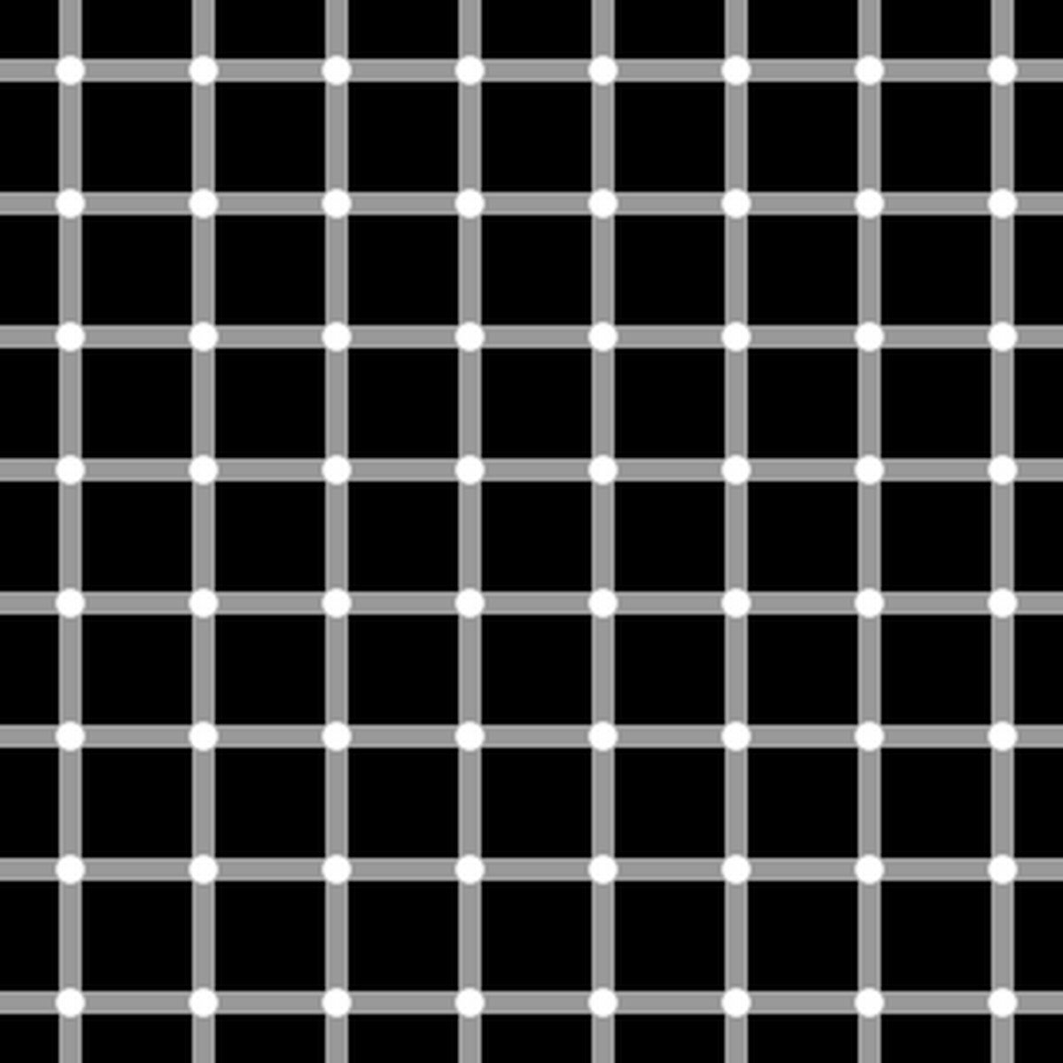 grid illusion